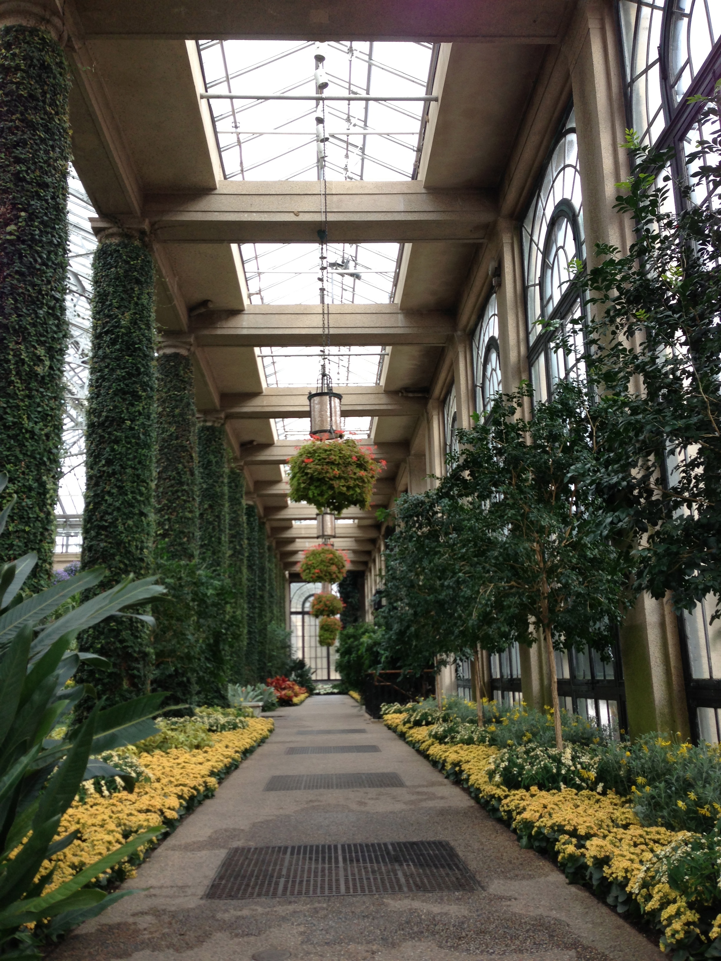 Luminous clarity, sparkling nature...the conservatory at Longwood Gardens
